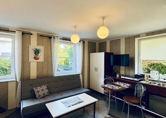 Medom Władysławowo